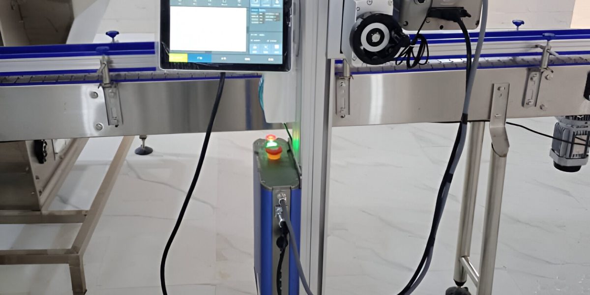 Automatic Laser Date Coding Machine